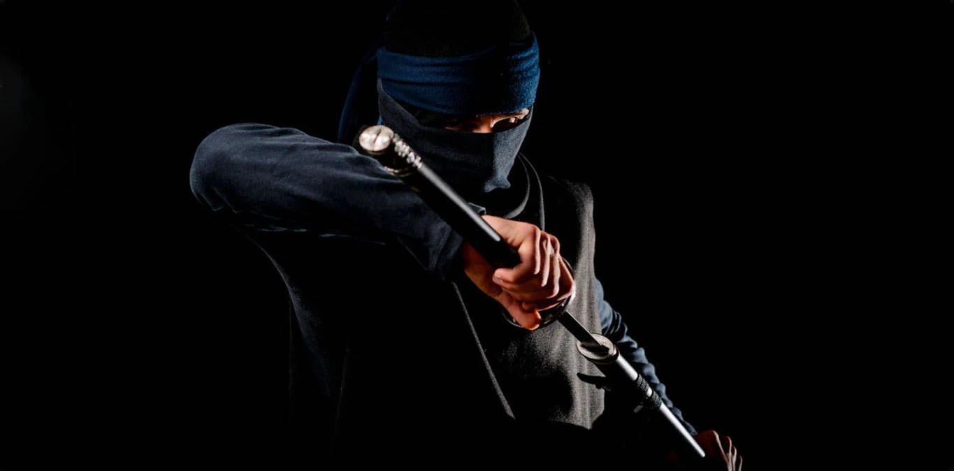 ninja-de-japon