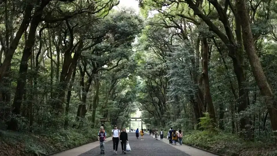 parque Yoyogi en Tokio