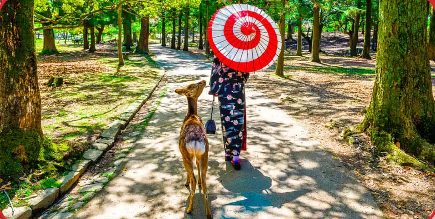 Parque de Nara