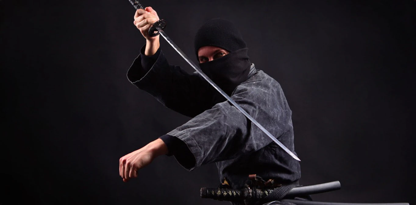 hanzo-hattori-ninja