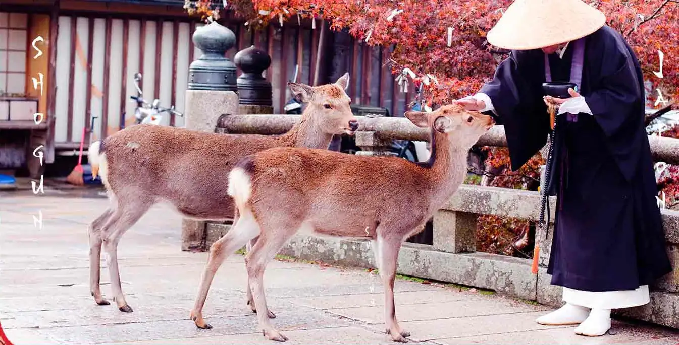 Moine Japonais