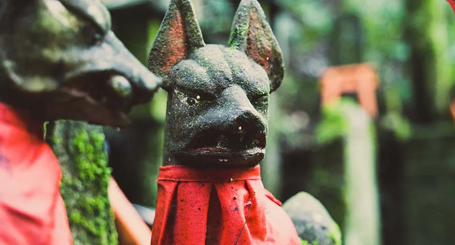 fushimi inari kitsune