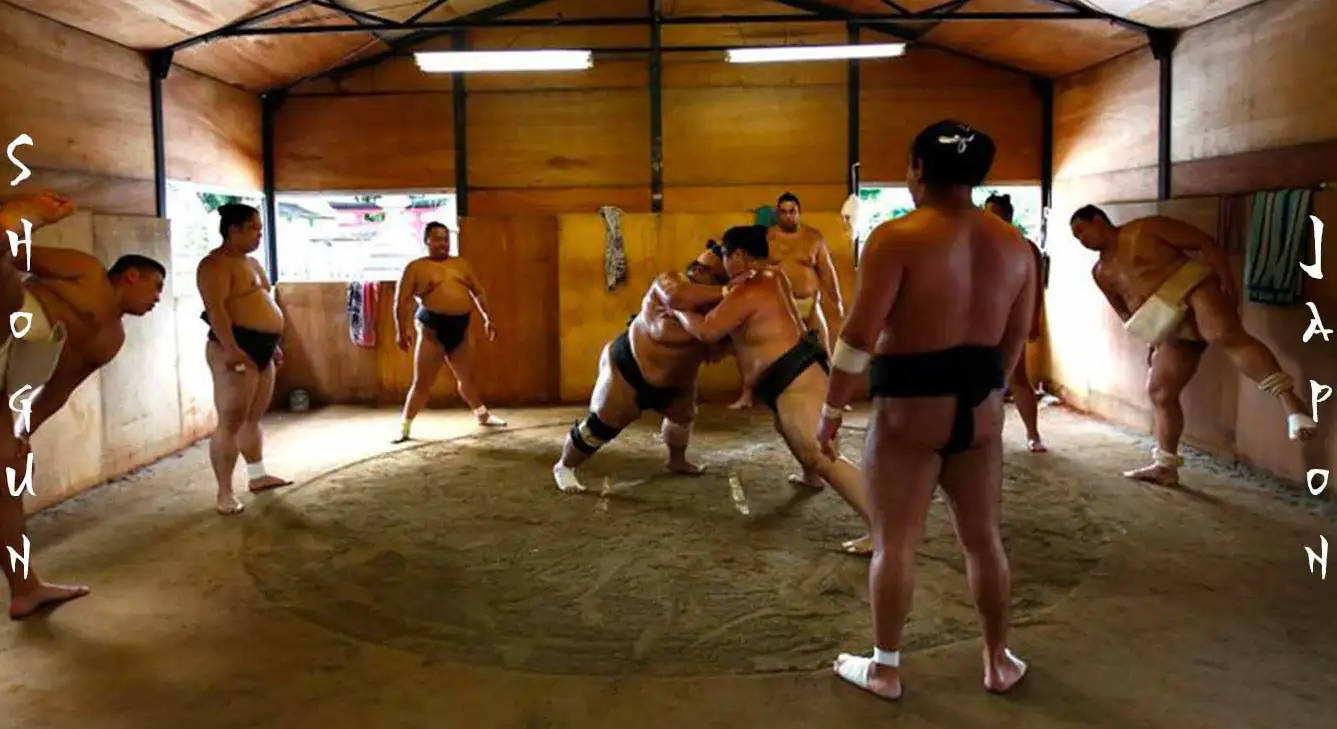 combat sumo