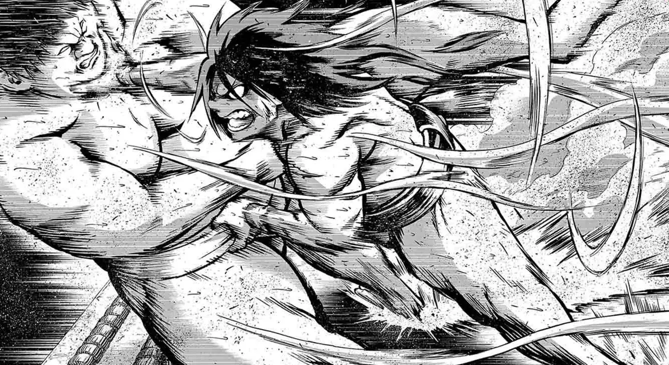Hinomaru Sumo