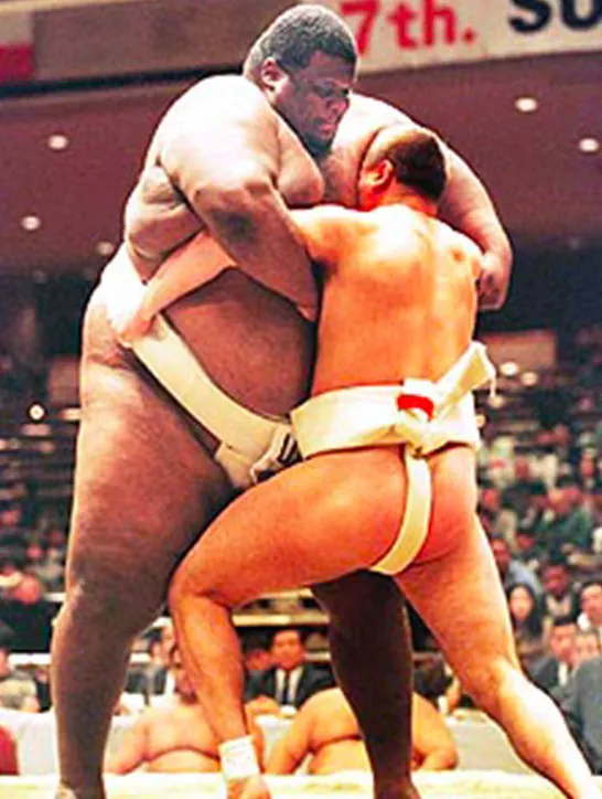 sumo noir