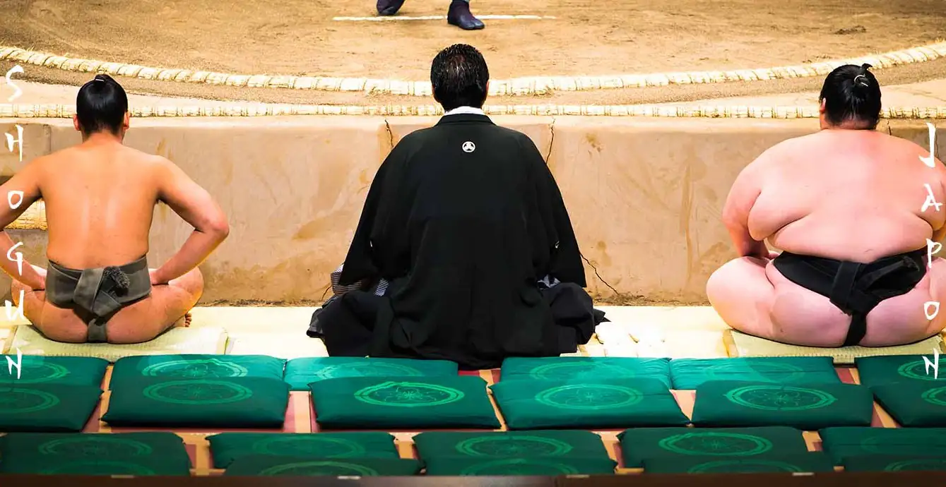 sumo poids