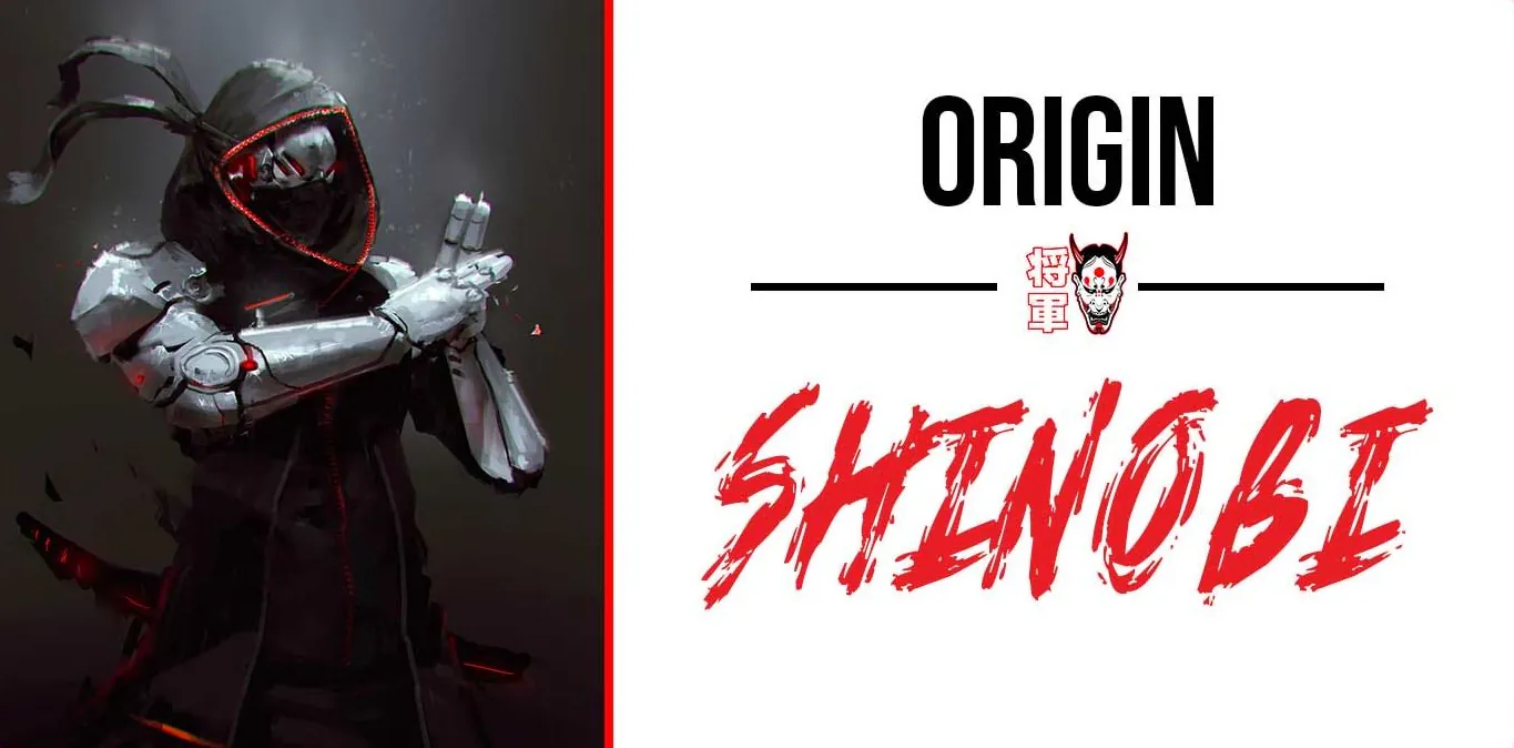 ninja-origin