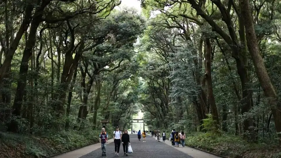 Yoyogi park in Tokyo