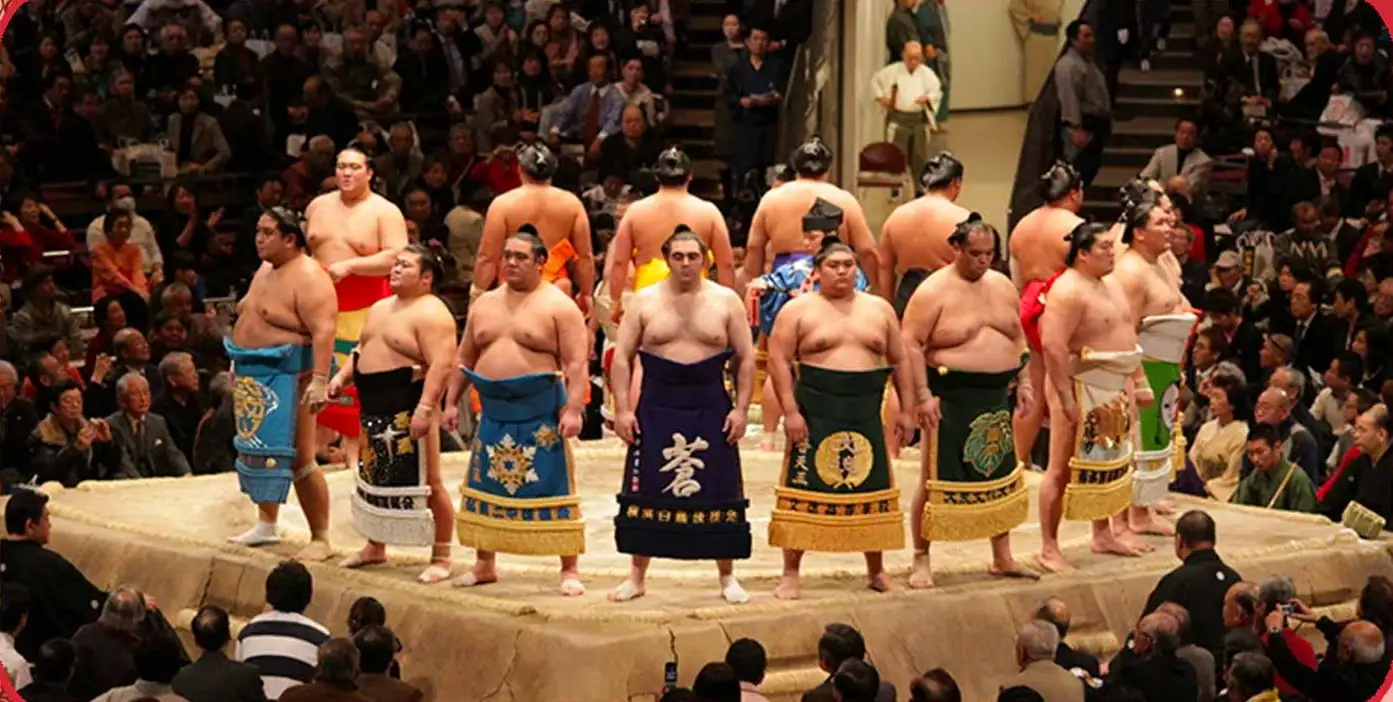 seiko-sumo
