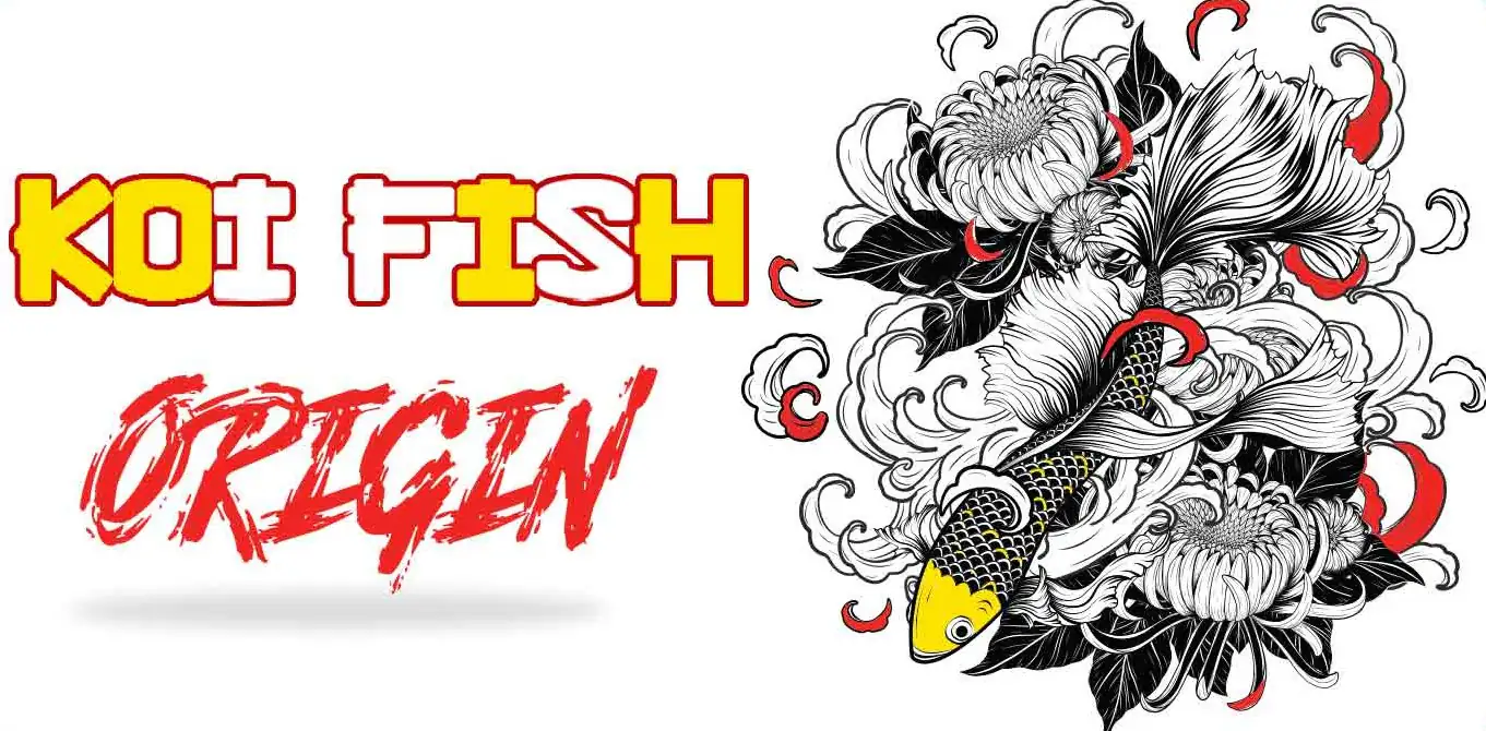 Koi Fish Origin