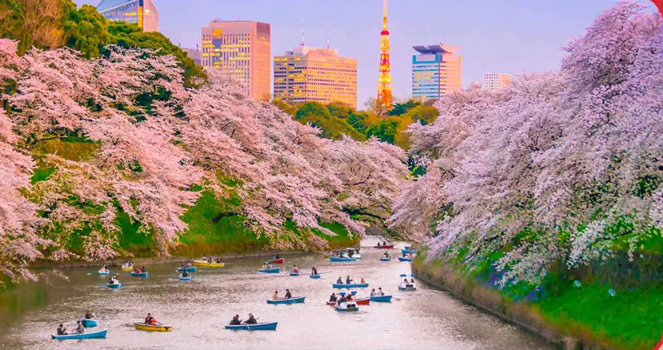 chidorigafuchi