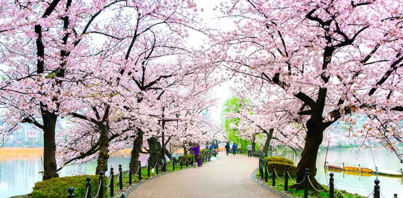 Ueno Park